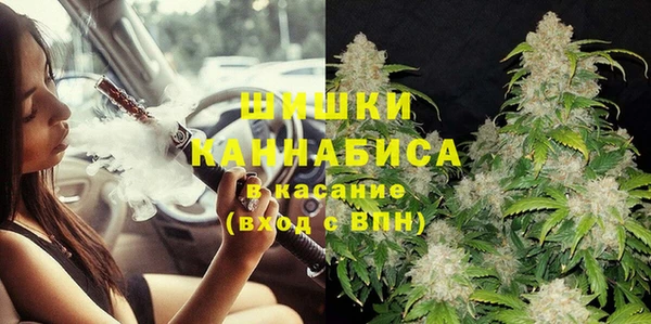 ПСИЛОЦИБИНОВЫЕ ГРИБЫ Арсеньев