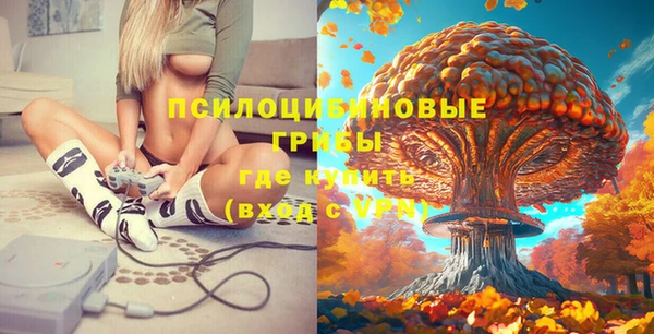 ПСИЛОЦИБИНОВЫЕ ГРИБЫ Арсеньев