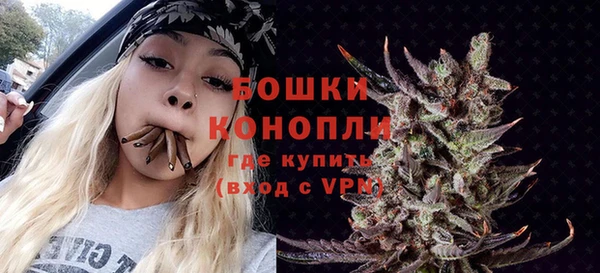 ПСИЛОЦИБИНОВЫЕ ГРИБЫ Арсеньев