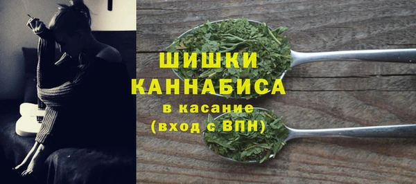 ПСИЛОЦИБИНОВЫЕ ГРИБЫ Арсеньев